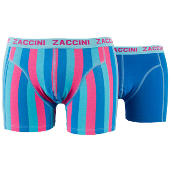 Big Stripe Short